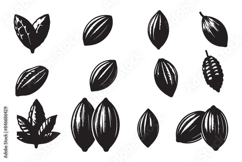 Set of silhouettes of Cocoa beans icon set Isolated on a white background outline