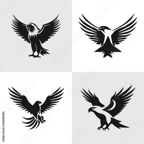 Set of Abstract eagle silhouette logo icons  with a white background for your company  the hawk logo design ideas