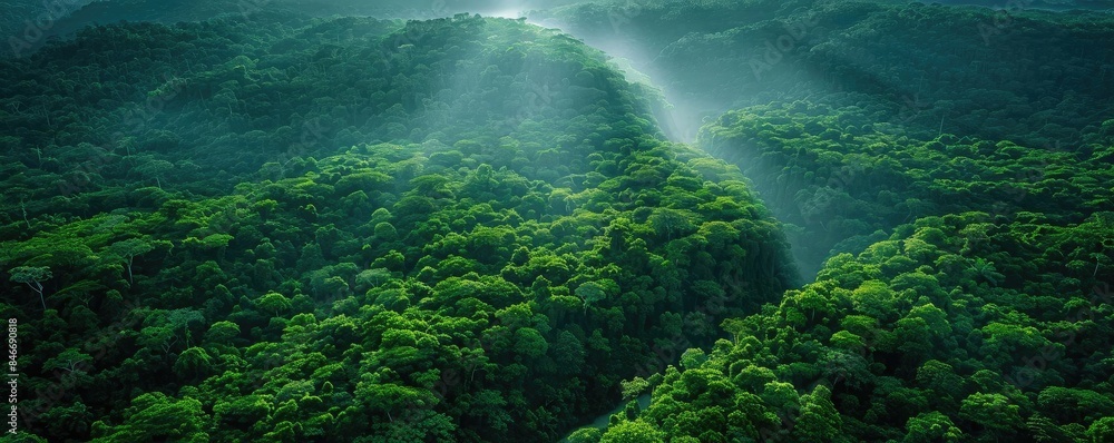 Aerial view of lush green forest canopies bathed in sunlight with rolling hills in the background, showcasing natural beauty and tranquility. Aerial view of lush green forest canopies bathed in sunlight with rolling hills in the background, showcasing natural beauty and tranquility.