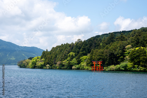 Torii Gate am Meer in Hakone, Japan #846693236