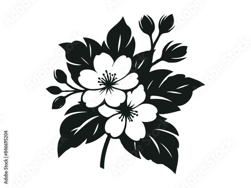 jasmine flower vector illustration. Jasmine flower and leaf drawing vector illustration with line art on white backgrounds