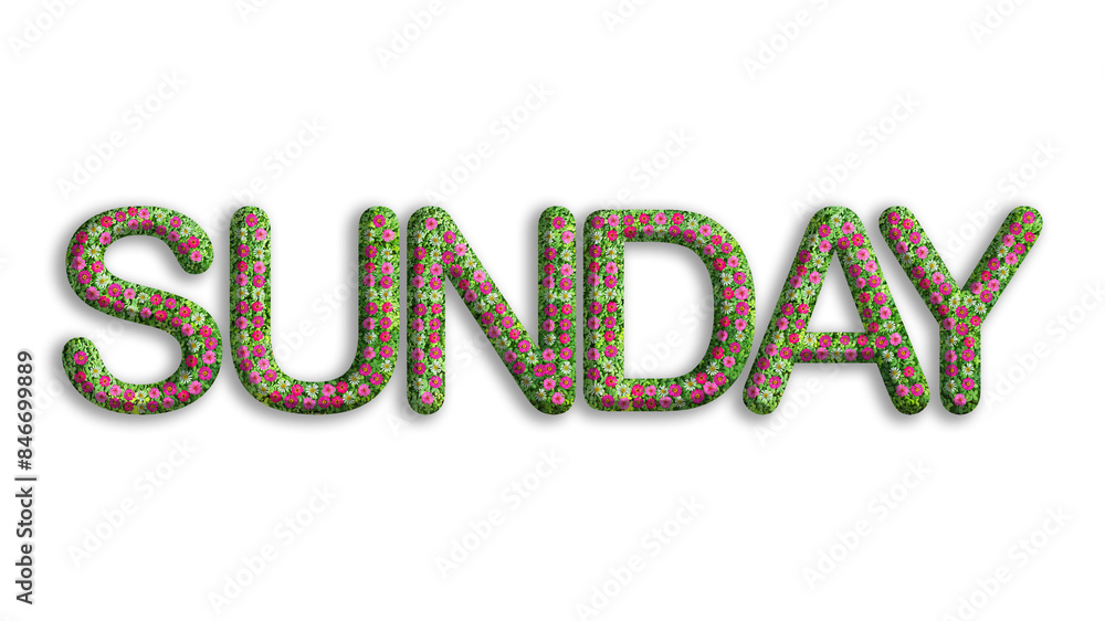 SUNDAY, word or text made from flowers, leaves, green grass isolated on transparent background, suitable for template design SUNDAY, word or text made from flowers, leaves, green grass isolated on transparent background, suitable for template design