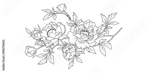 Peony flower arrangement line art on white background. Silhouette botanical hand drawn element for wedding, invitation frame design, vector illustration