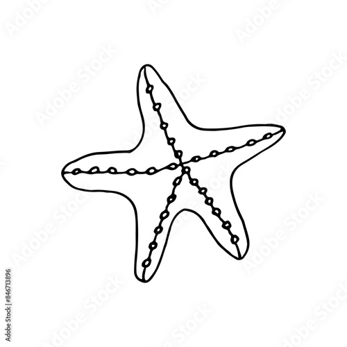 Starfish. Sedentary sea animal. Doodle. Vector illustration. Hand drawn. Outline.
