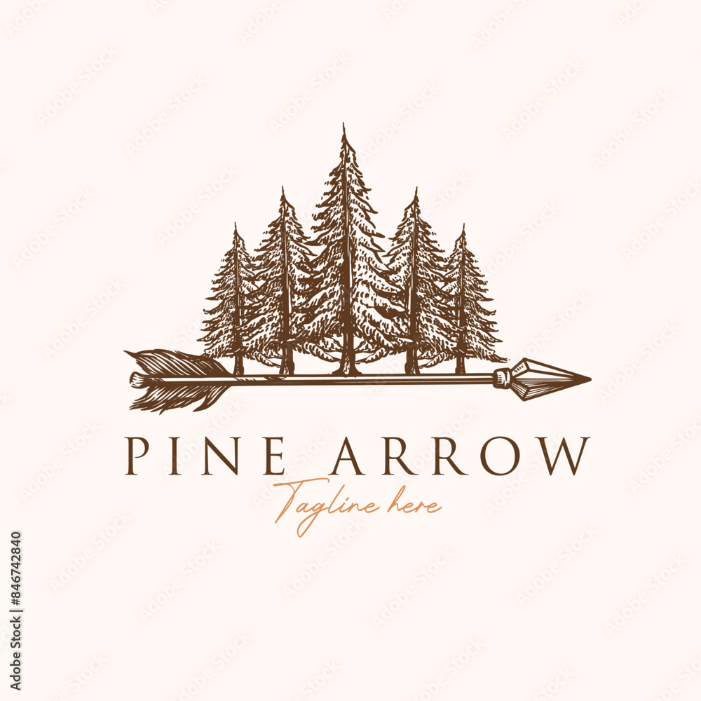 Obraz premium Vintage retro Pines cedar tree forest jungle with wood arrow for ecology logo design vector