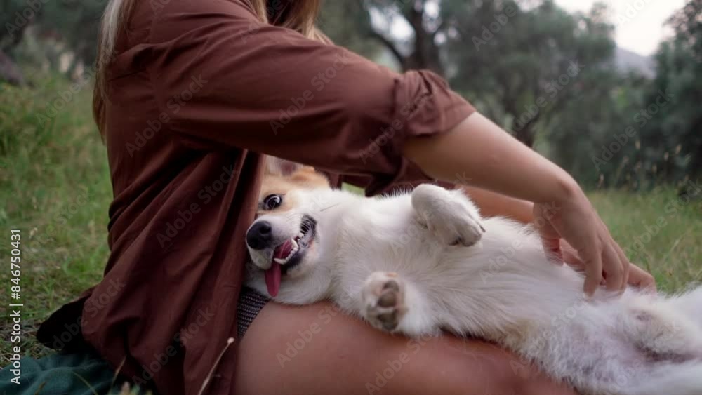 woman enjoys nature with her Pembroke Welsh Corgi, a blissful outdoor bonding. The tranquility of the setting complements the tender interaction between the smiling girl and her joyful dog woman enjoys nature with her Pembroke Welsh Corgi, a blissful outdoor bonding. The tranquility of the setting complements the tender interaction between the smiling girl and her joyful dog