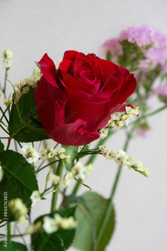 Fototapeta premium 薔薇の花束