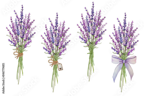 Watercolor Lavender Clipart illustrations set  