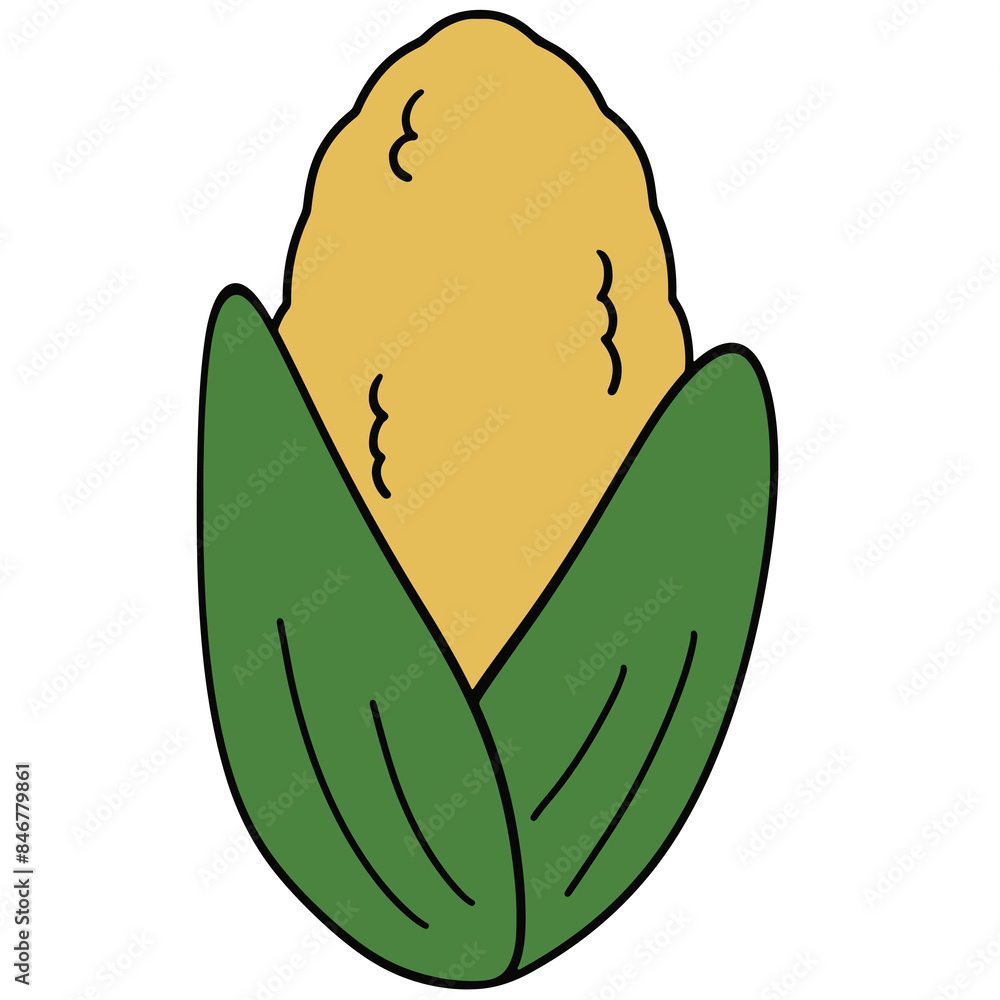 Corn Corn