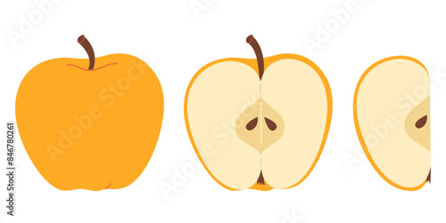 Yellow juicy apple hand drawn set. Whole, half, slice of fresh yellow apple fruit. Collection of whole apples and sliced apples. Flat style isolated on transparent background. Vector illustration