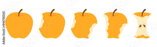 Apple eating steps cartoon icon set. Stages of biting yellow ripe apple from whole to half and core, bite progression cartoon set sequence animation of eaten fruit Trendy flat style vector illustratio