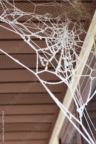 Canvas-taulu Close-up of a spider web covered with frost on a building's eaves