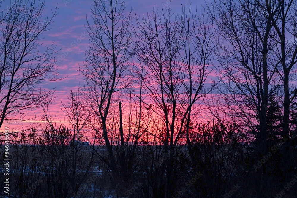 Stunning sunset with a vibrant pink and purple sky viewed through bare trees in a serene landscape. Stunning sunset with a vibrant pink and purple sky viewed through bare trees in a serene landscape.