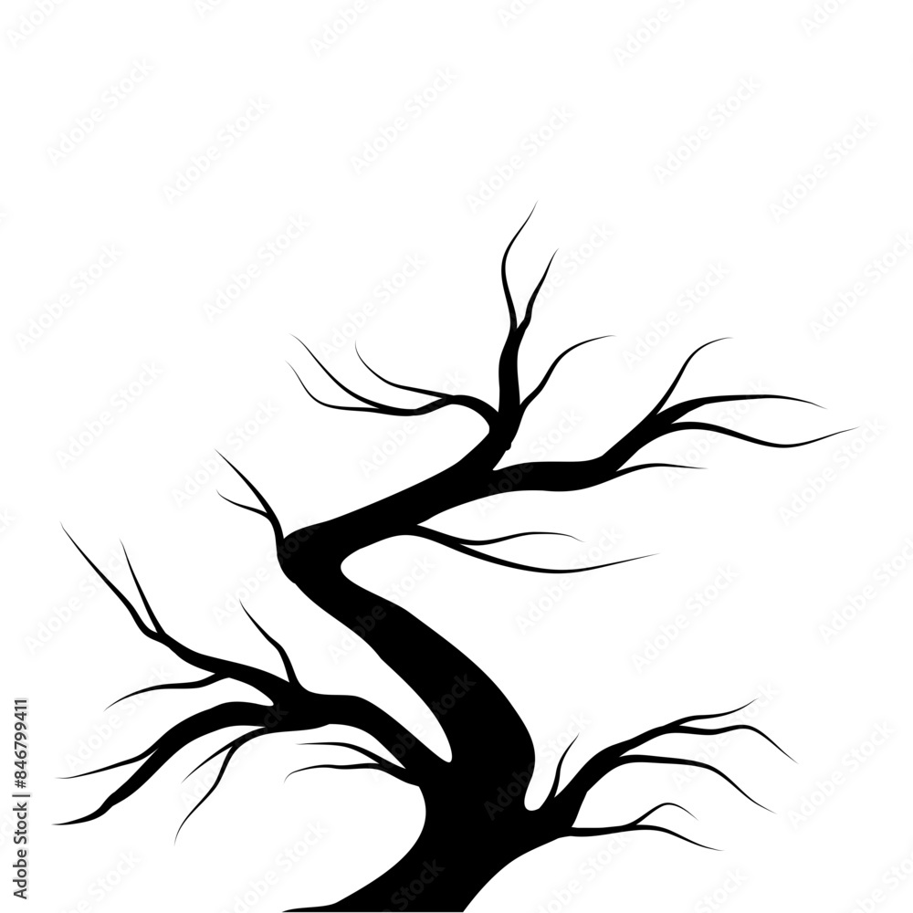 Obraz premium Bare Tree Silhouette