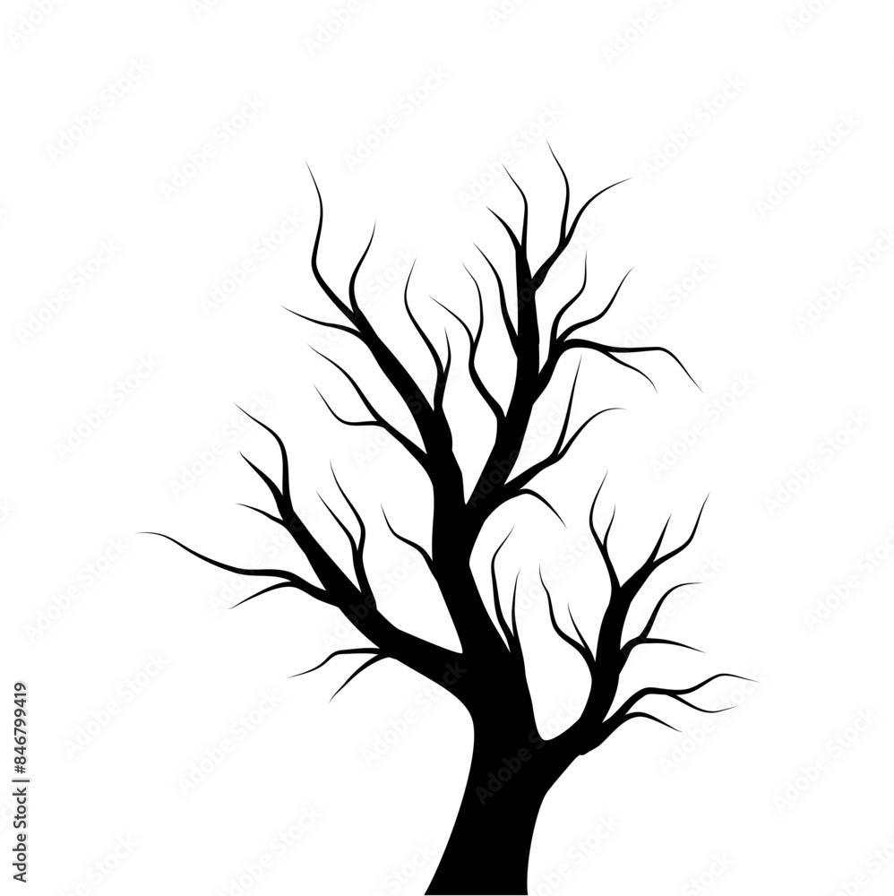Obraz premium Bare Tree Silhouette