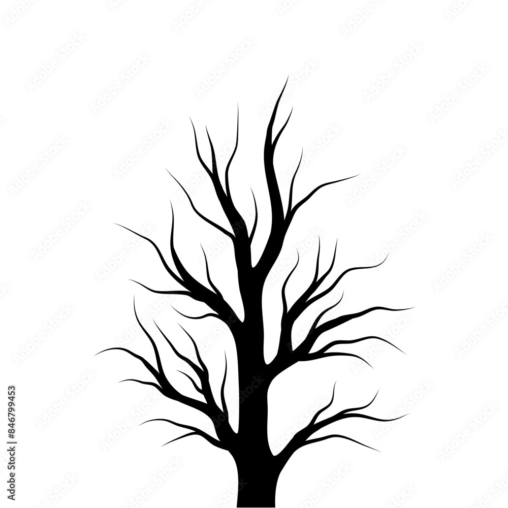 Obraz premium Bare Tree Silhouette