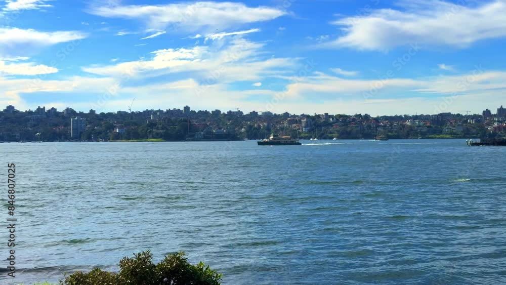 Sunday 9 June 2024 Sydney Harbour CBD Australia buildings office and residential apartments lining the coast Sunday 9 June 2024 Sydney Harbour CBD Australia buildings office and residential apartments lining the coast