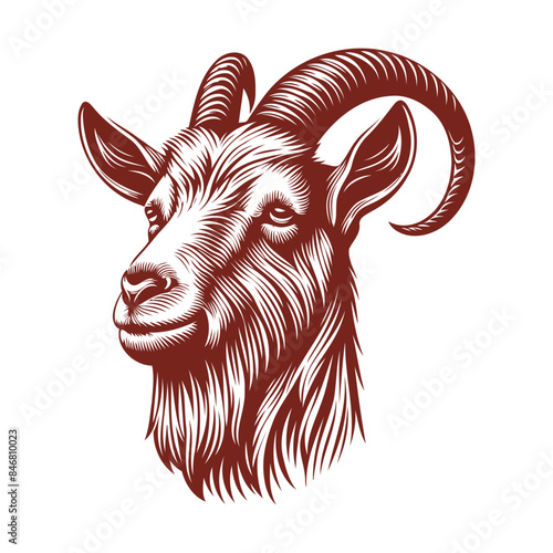 goat head Vector, goat vector illustration, goat head emblem design, Goat silhouette