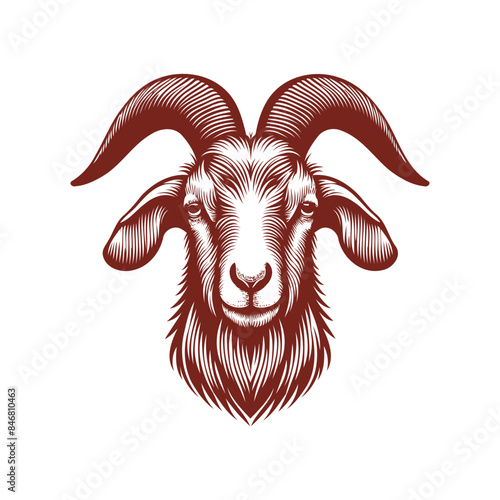 goat head Vector, goat vector illustration, goat head emblem design, Goat silhouette