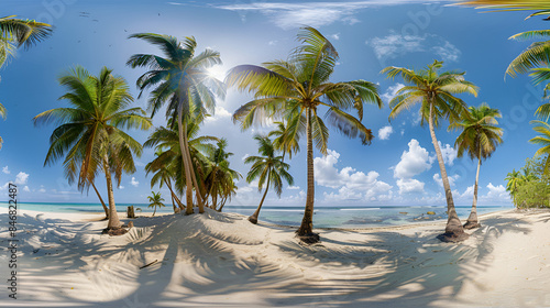 panorama of tropical beach with coconut palm trees