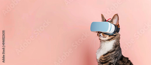 Cat wearing a virtual reality headset photo