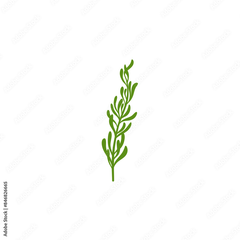 Fototapeta premium Rosemary Branch Icon Illustration