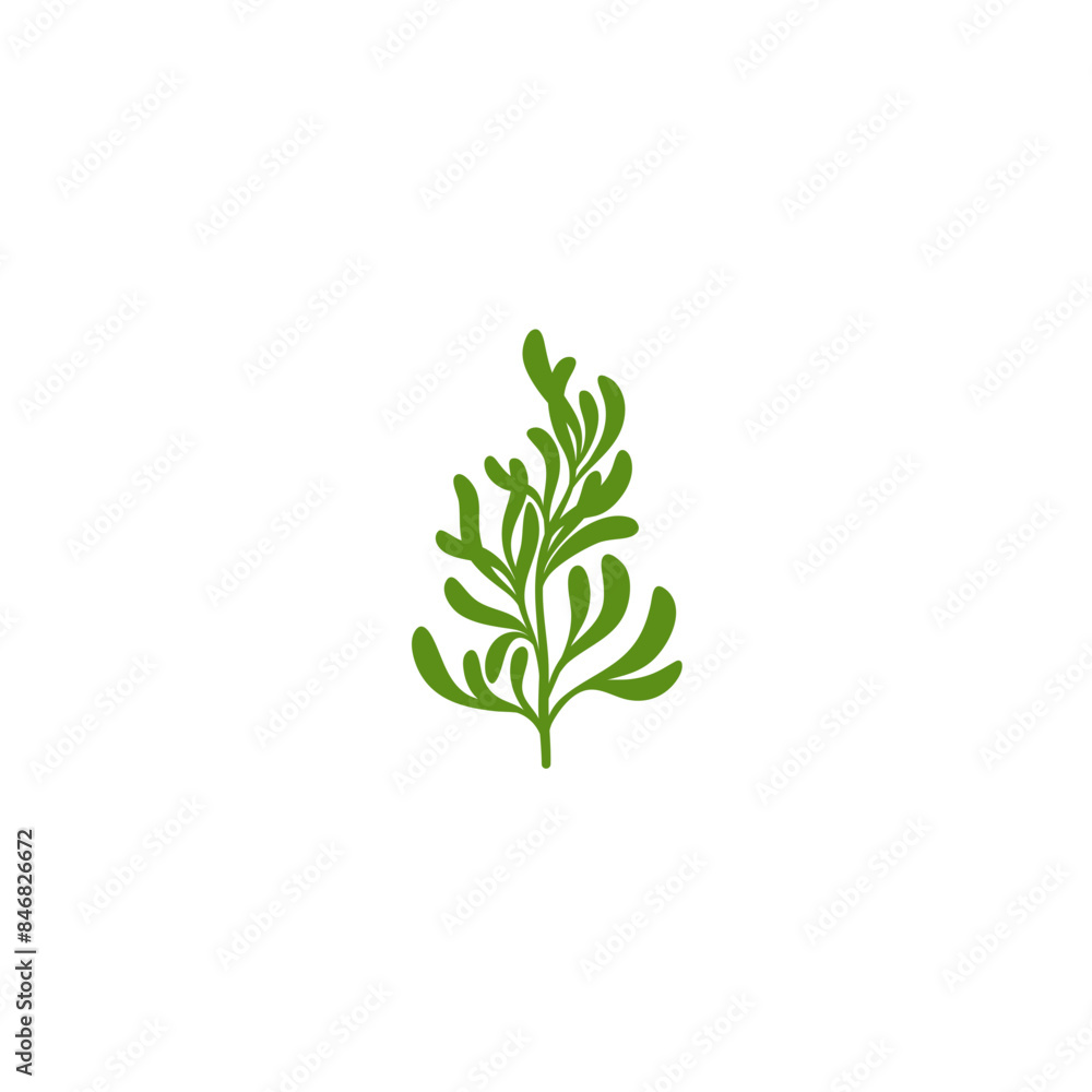 Rosemary Branch Icon Illustration Rosemary Branch Icon Illustration
