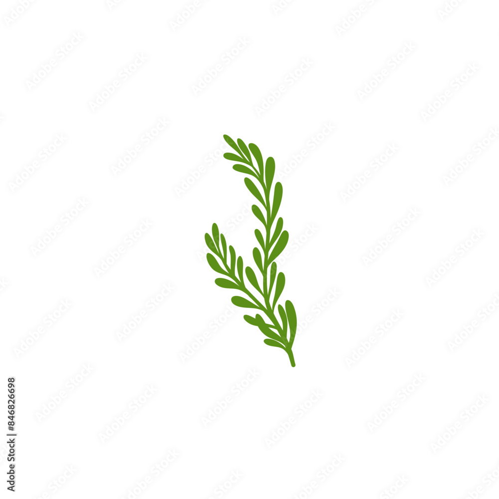 Fototapeta premium Rosemary Branch Icon Illustration 