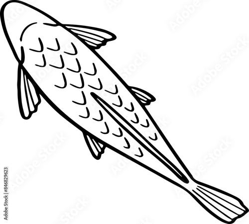 top view fish drawing.