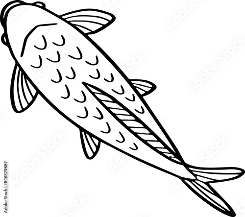 top view fish drawing.