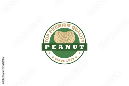 Peanut icon vector for web design on white background