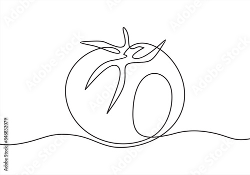 Tomato one line drawing art. Vector illustration isolated on white background.