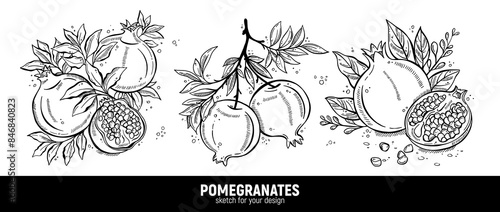 Hand drawn set of pomegranates sketches. Illustrations of pomegranates with leaves for poster, prints, menu, card or textile.