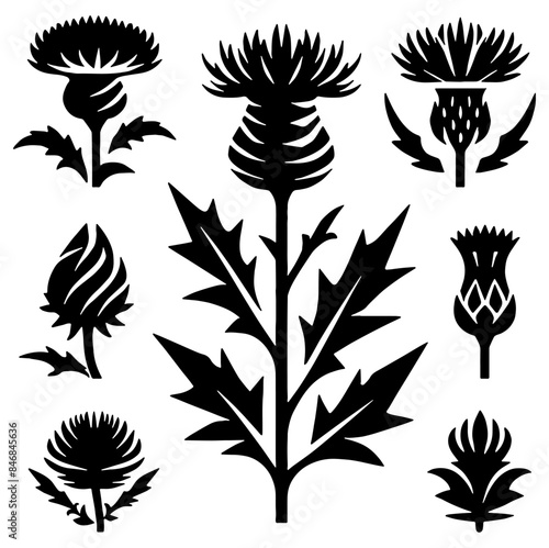 Scottish Thistles Silhouette, Ideal for Nature and Cultural Themes - Flat Vector Illustration