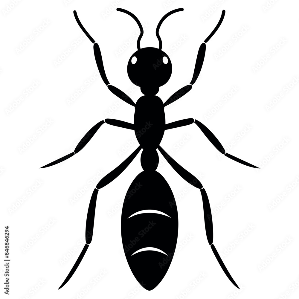 the ant vector silhouette white background the ant vector silhouette white background