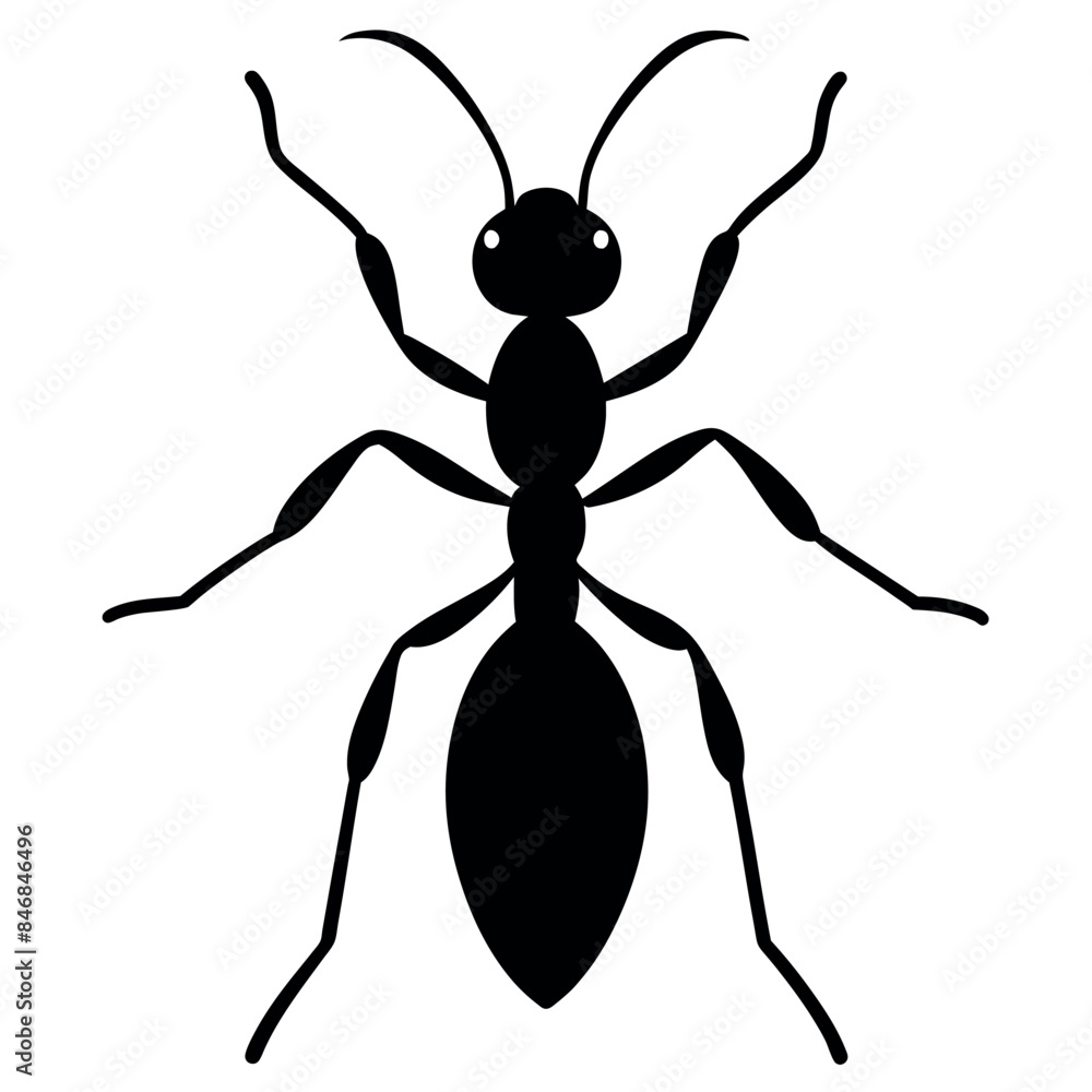 the ant vector silhouette white background the ant vector silhouette white background