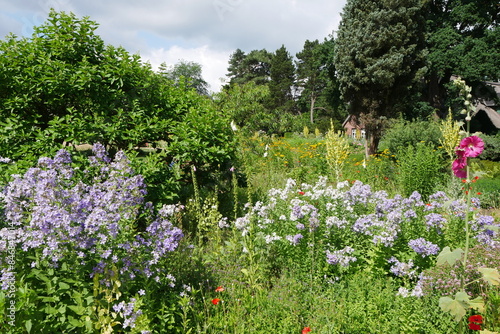 Staudengarten im Arboretum Ellerhoop-Thiensen photo