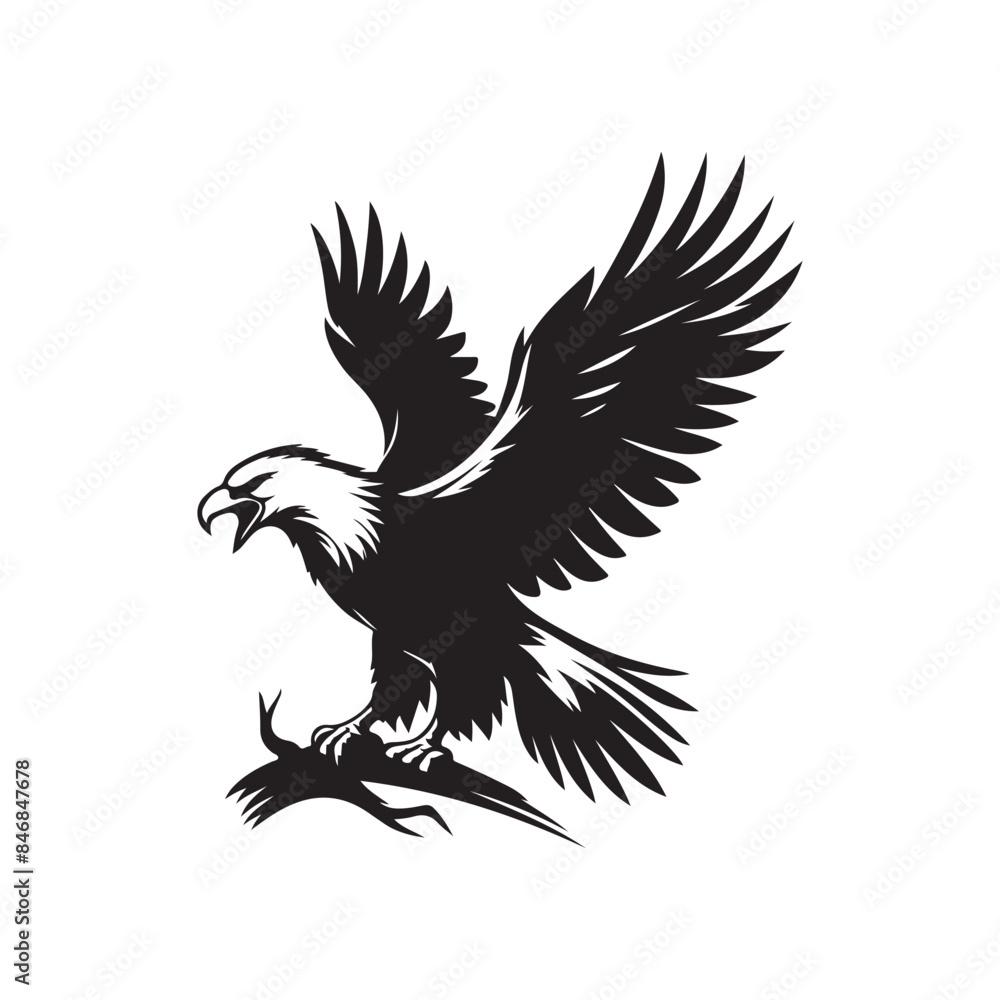 Obraz premium Classic Vector Bald Eagle Art
