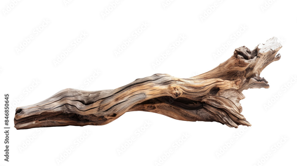 Tree dry branch. Dry stick natural decoration. Big tree beautiful curved branch element isolated on transparent background Tree dry branch. Dry stick natural decoration. Big tree beautiful curved branch element isolated on transparent background