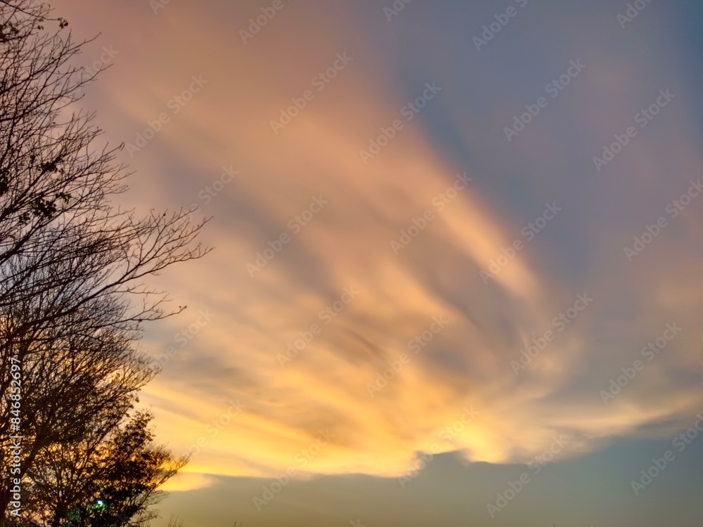sunset in the clouds and tree branches 