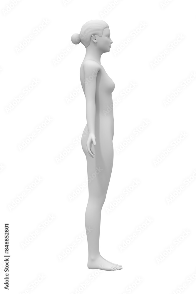 woman body, human anatomy pose, art & medical science woman body, human anatomy pose, art & medical science