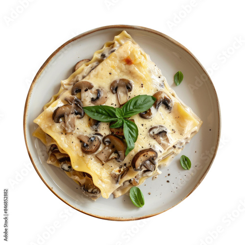 A Plate of Mushroom Lasagna...