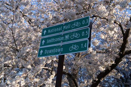 Directional signs on the National Mall of Washington DC for the Smithsonian metro station and downtown DC, during cherry blossom season photo