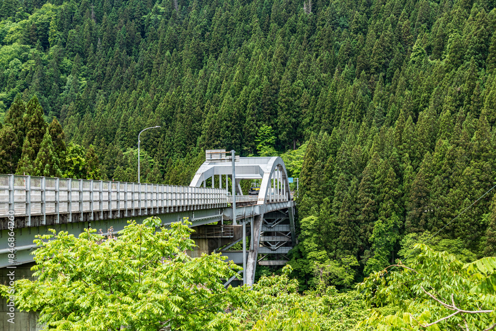 Fototapeta premium Architectural Marvels Amidst Verdant Forest Canopies