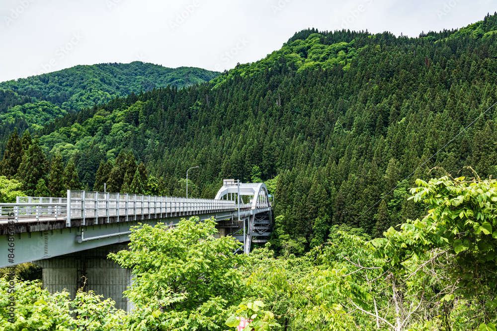 Architectural Marvels Amidst Verdant Forest Canopies Architectural Marvels Amidst Verdant Forest Canopies