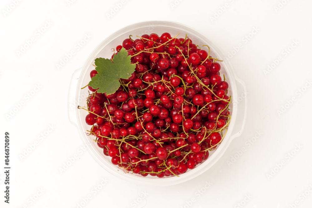 Freshly harvested ripe red currants in a bowl on white background. Top view. Freshly harvested ripe red currants in a bowl on white background. Top view.