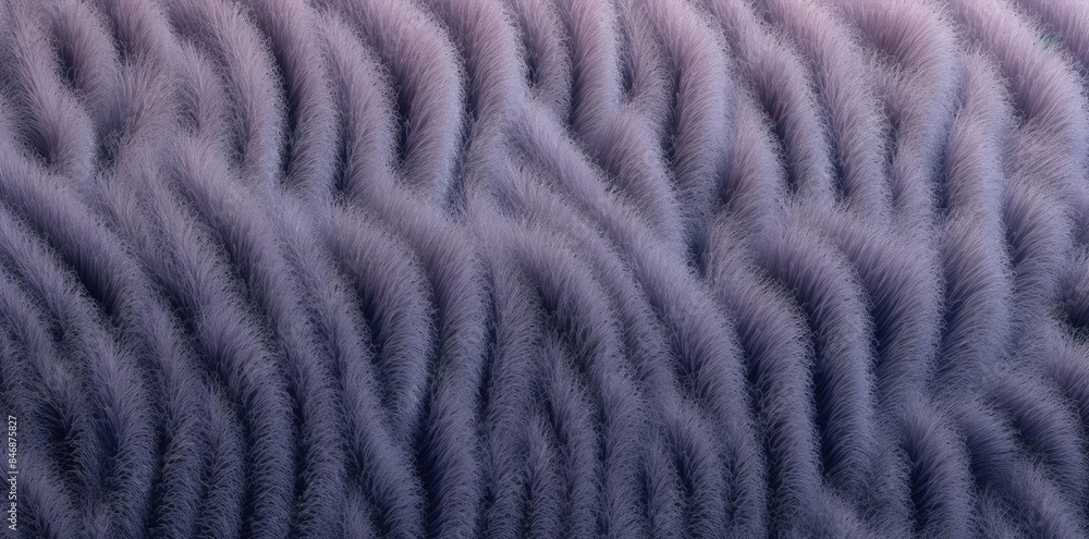 chenille texture of the fur of a cat chenille texture of the fur of a cat