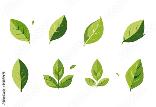 vector set of different isolated green leaves icon white background 