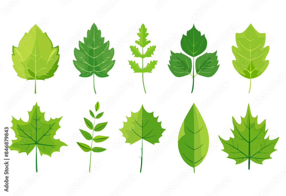 vector set of different isolated green leaves icon white background vector set of different isolated green leaves icon white background