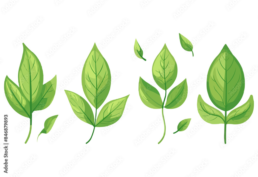 Fototapeta premium vector set of different isolated green leaves icon white background 